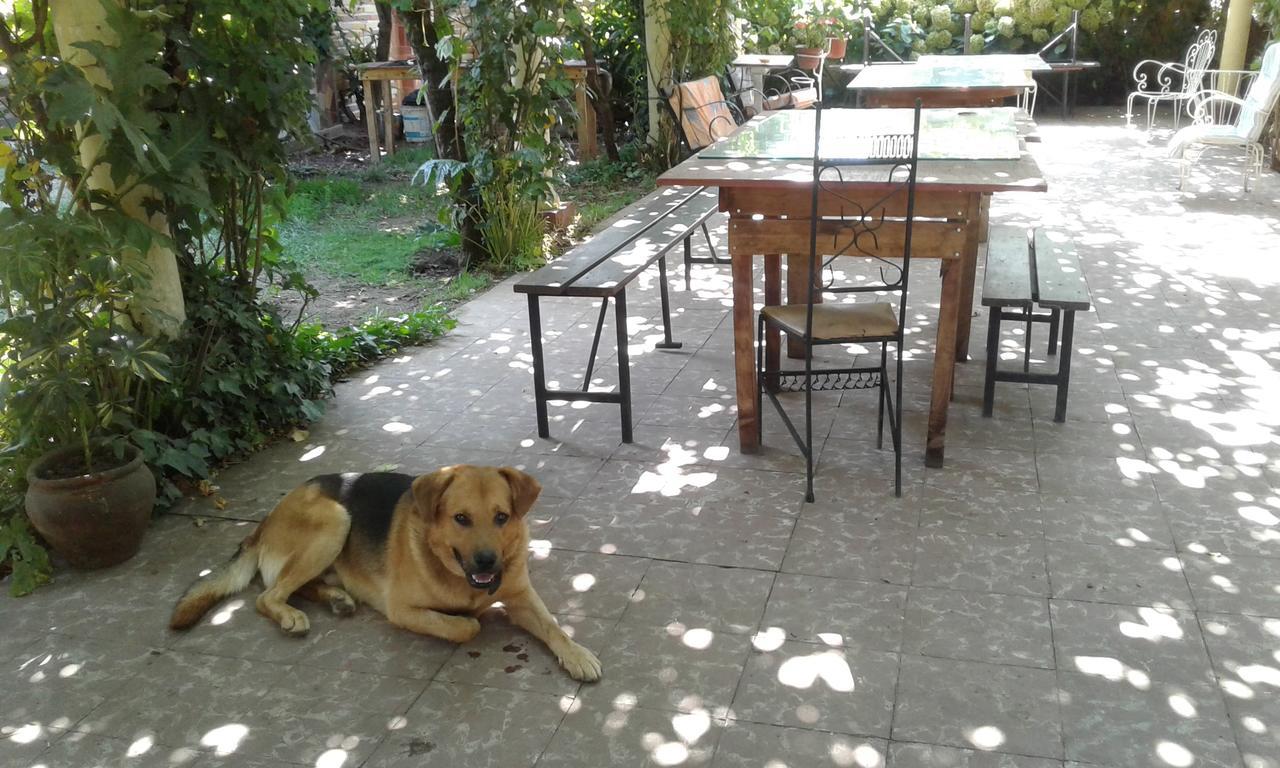 Puerta Del Sol Molina B&B المظهر الخارجي الصورة